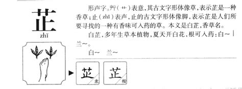 芷 名字 意思|芷的意思